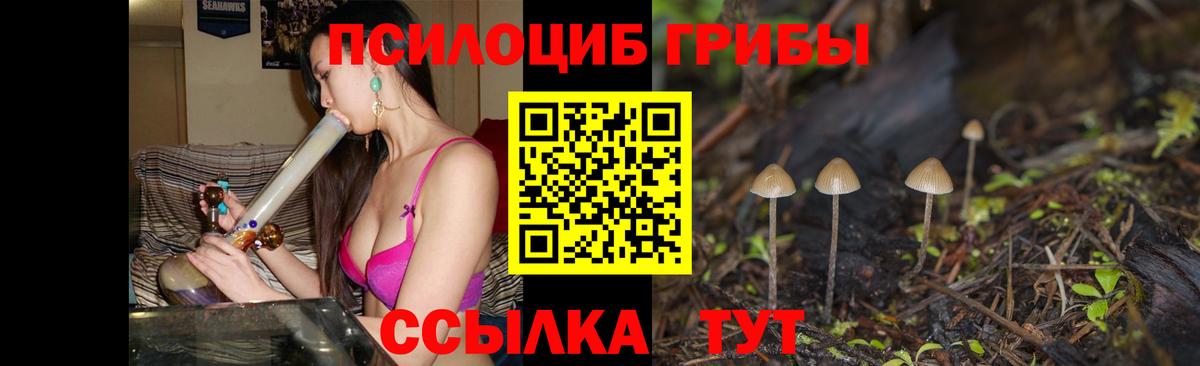 Галлюциногенные грибы GOLDEN TEACHER Соликамск